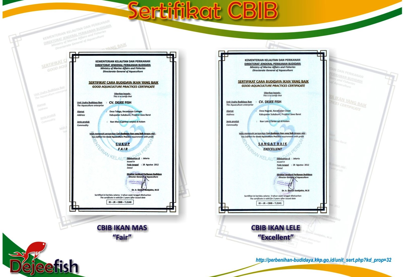 CBIB