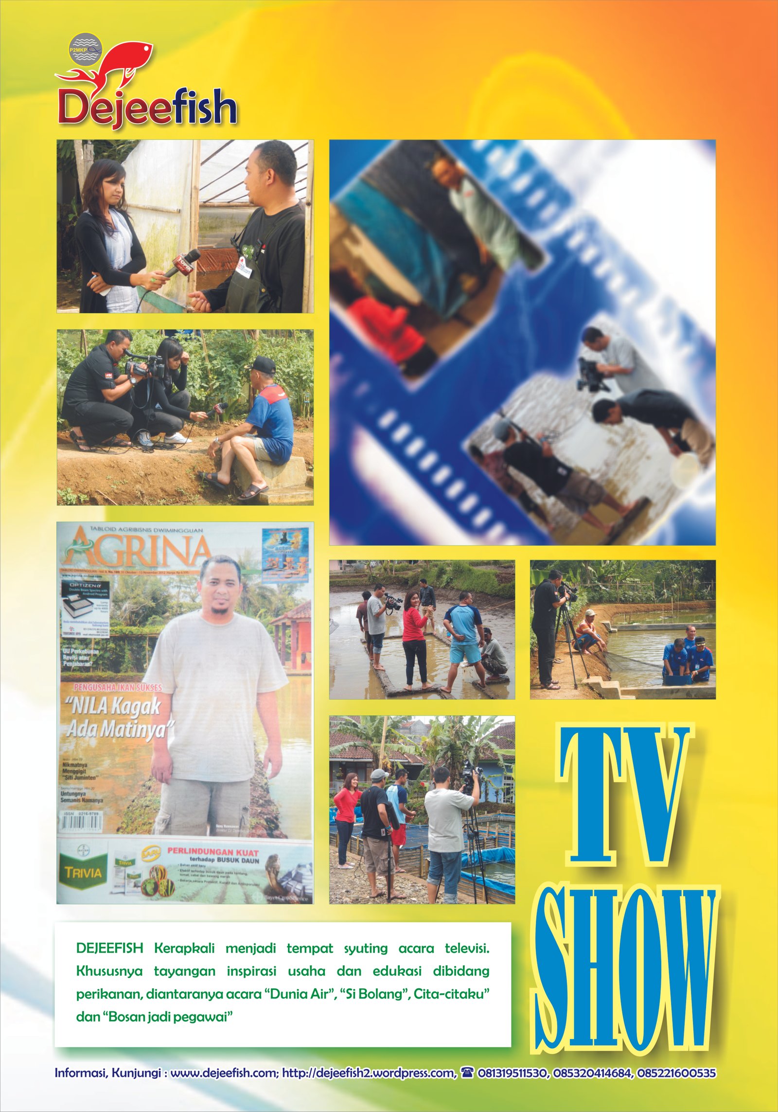 Poster TV Show_0.7x1M