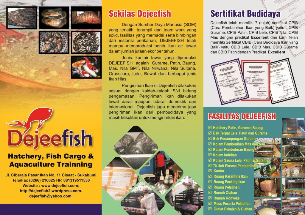 1Leaflet_dpn