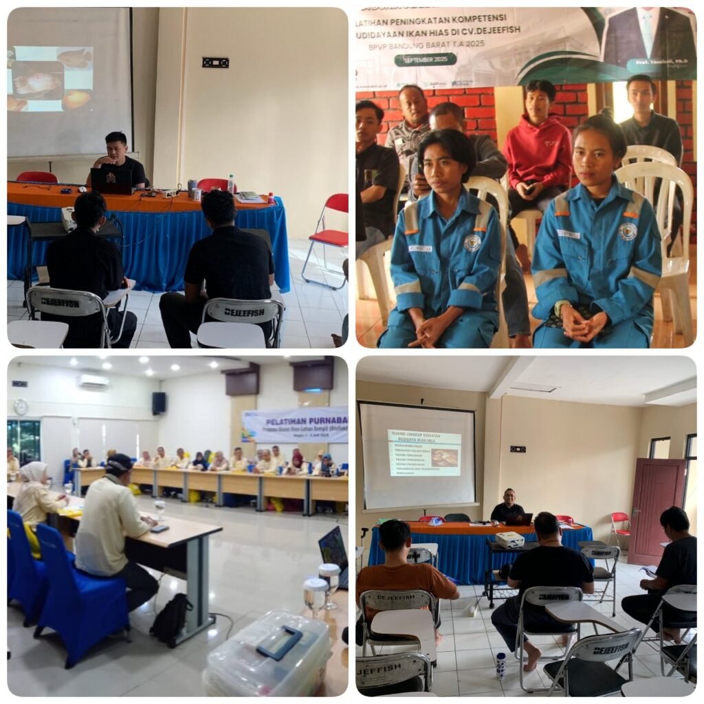 Jasa Pelatihan Budidaya Ikan Air Tawar